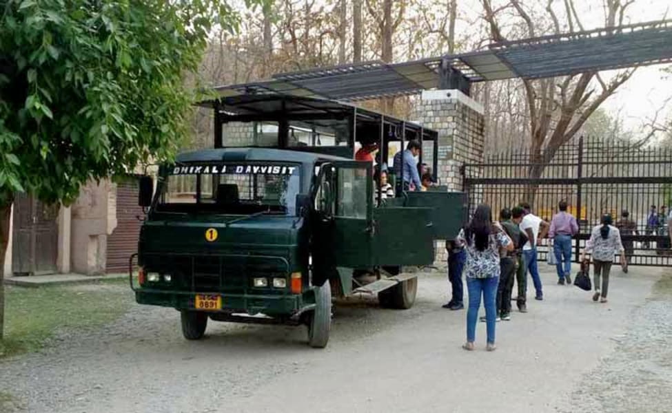 canter safari in dhikala zone