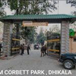 jim corbett dhikala