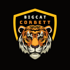 bigcat website logo