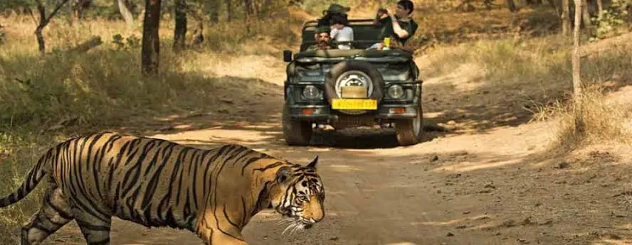 bijrani zone in jim corbett