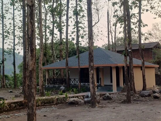 Mohaan zone in jim corbett