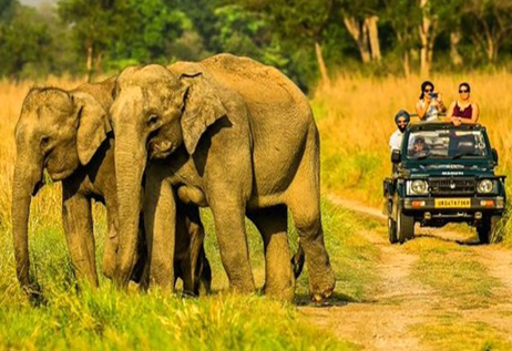 garjiya zone in jim corbett