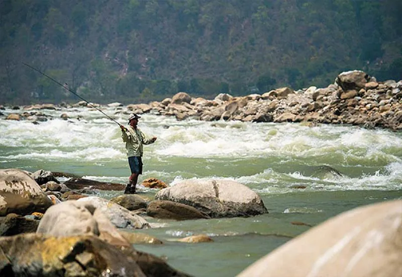 kosi river