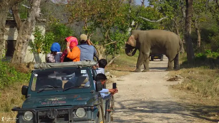 jhirna zone in jim corbett